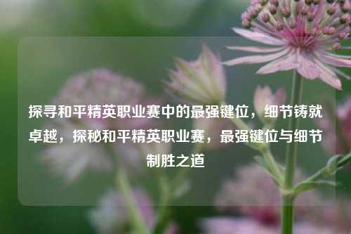 探寻和平精英职业赛中的最强键位，细节铸就卓越，探秘和平精英职业赛，最强键位与细节制胜之道