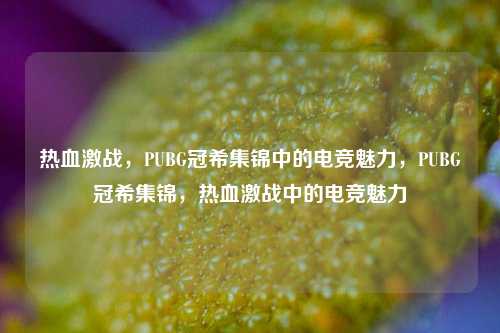 热血激战，PUBG冠希集锦中的电竞魅力，PUBG冠希集锦，热血激战中的电竞魅力
