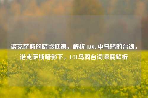 诺克萨斯的暗影低语，解析 LOL 中乌鸦的台词，诺克萨斯暗影下，LOL乌鸦台词深度解析