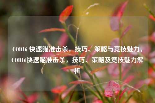 COD16 快速瞄准击杀，技巧、策略与竞技魅力，COD16快速瞄准击杀，技巧、策略及竞技魅力解析