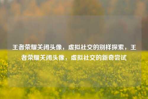 王者荣耀关闭头像，虚拟社交的别样探索，王者荣耀关闭头像，虚拟社交的新奇尝试