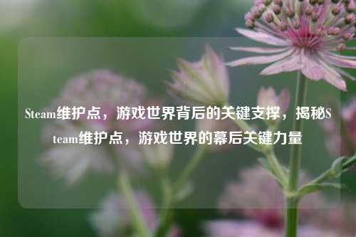 Steam维护点，游戏世界背后的关键支撑，揭秘Steam维护点，游戏世界的幕后关键力量