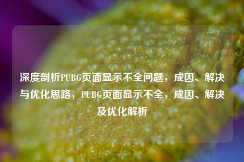深度剖析PUBG页面显示不全问题，成因、解决与优化思路，PUBG页面显示不全，成因、解决及优化解析