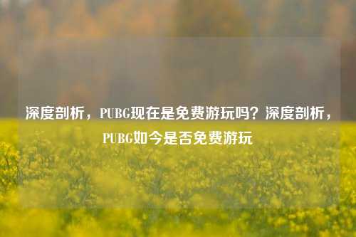 深度剖析，PUBG现在是免费游玩吗？深度剖析，PUBG如今是否免费游玩