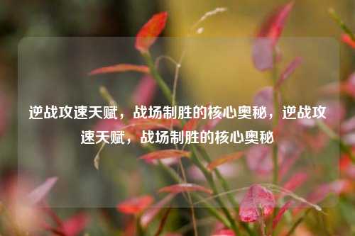 逆战攻速天赋，战场制胜的核心奥秘，逆战攻速天赋，战场制胜的核心奥秘