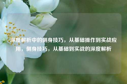 深度解析中的侧身技巧，从基础操作到实战应用，侧身技巧，从基础到实战的深度解析