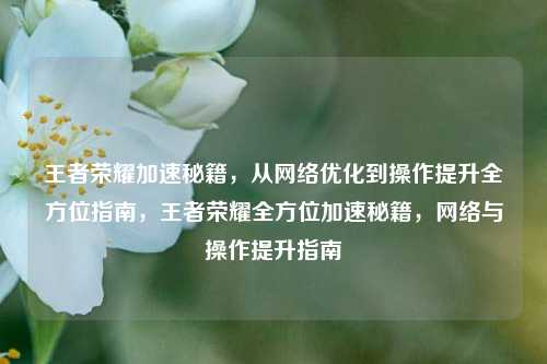 王者荣耀加速秘籍，从网络优化到操作提升全方位指南，王者荣耀全方位加速秘籍，网络与操作提升指南