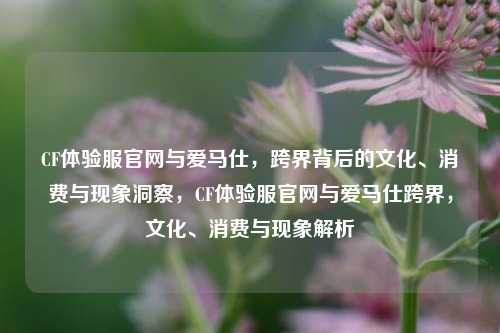 CF体验服官网与爱马仕，跨界背后的文化、消费与现象洞察，CF体验服官网与爱马仕跨界，文化、消费与现象解析