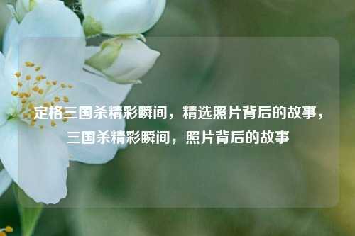 定格三国杀精彩瞬间，精选照片背后的故事，三国杀精彩瞬间，照片背后的故事