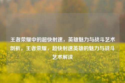 王者荣耀中的超快射速，英雄魅力与战斗艺术剖析，王者荣耀，超快射速英雄的魅力与战斗艺术解读