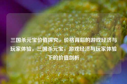 三国杀元宝价值探究，价格背后的游戏经济与玩家体验，三国杀元宝，游戏经济与玩家体验下的价值剖析