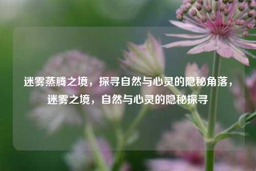 迷雾蒸腾之境，探寻自然与心灵的隐秘角落，迷雾之境，自然与心灵的隐秘探寻