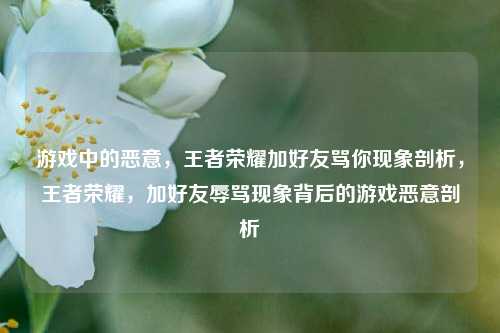 游戏中的恶意，王者荣耀加好友骂你现象剖析，王者荣耀，加好友辱骂现象背后的游戏恶意剖析