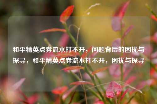 和平精英点券流水打不开，问题背后的困扰与探寻，和平精英点券流水打不开，困扰与探寻