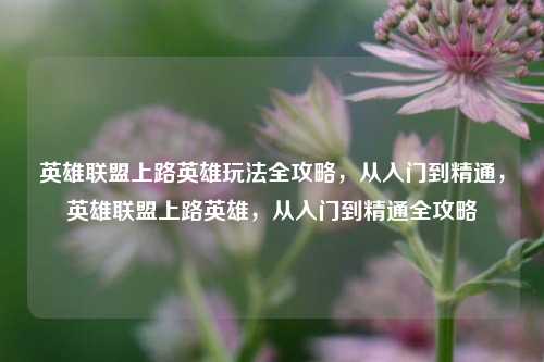 英雄联盟上路英雄玩法全攻略，从入门到精通，英雄联盟上路英雄，从入门到精通全攻略