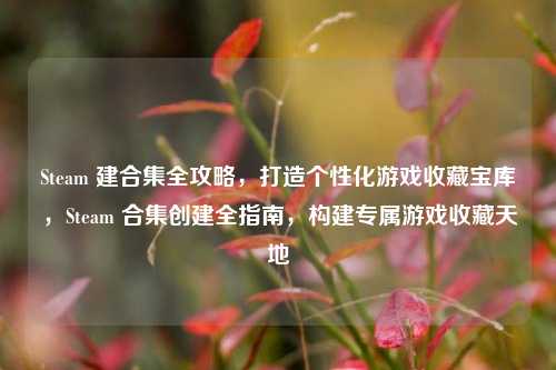 Steam 建合集全攻略，打造个性化游戏收藏宝库，Steam 合集创建全指南，构建专属游戏收藏天地