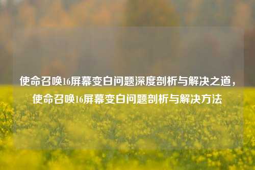 使命召唤16屏幕变白问题深度剖析与解决之道，使命召唤16屏幕变白问题剖析与解决方法