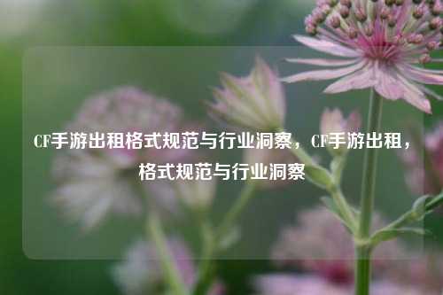 CF手游出租格式规范与行业洞察，CF手游出租，格式规范与行业洞察