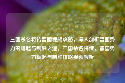 三国杀名将传晋国视频攻略，深入剖析晋国势力的崛起与制胜之道，三国杀名将传，晋国势力崛起与制胜攻略视频解析