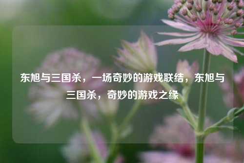 东旭与三国杀，一场奇妙的游戏联结，东旭与三国杀，奇妙的游戏之缘