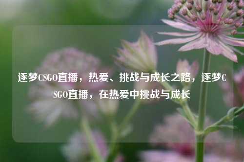 逐梦CSGO直播，热爱、挑战与成长之路，逐梦CSGO直播，在热爱中挑战与成长