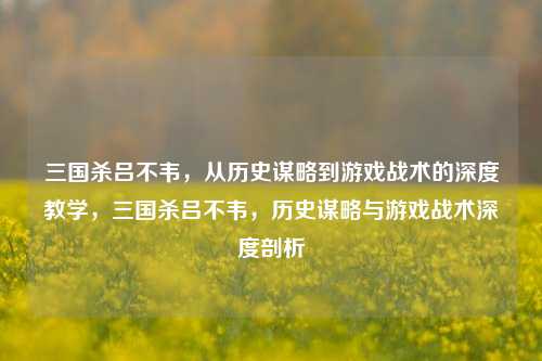 三国杀吕不韦，从历史谋略到游戏战术的深度教学，三国杀吕不韦，历史谋略与游戏战术深度剖析