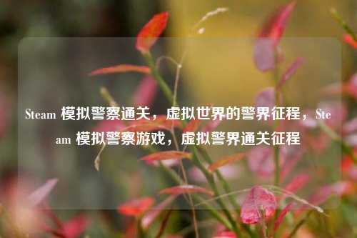 Steam 模拟警察通关，虚拟世界的警界征程，Steam 模拟警察游戏，虚拟警界通关征程