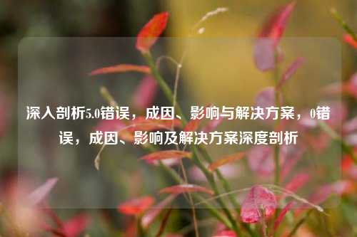 深入剖析5.0错误，成因、影响与解决方案，0错误，成因、影响及解决方案深度剖析