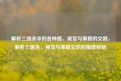 解析三国杀中的各种图，视觉与策略的交融，解析三国杀，视觉与策略交织的图谱探秘