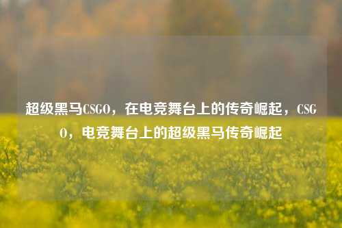 超级黑马CSGO，在电竞舞台上的传奇崛起，CSGO，电竞舞台上的超级黑马传奇崛起