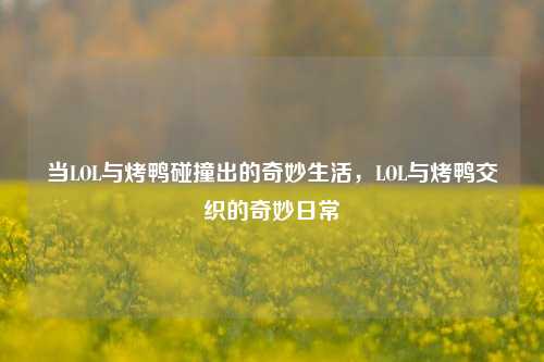 当LOL与烤鸭碰撞出的奇妙生活，LOL与烤鸭交织的奇妙日常