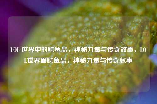 LOL 世界中的鳄鱼晶，神秘力量与传奇故事，LOL世界里鳄鱼晶，神秘力量与传奇叙事