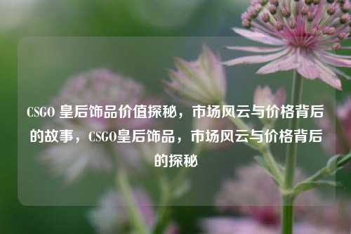 CSGO 皇后饰品价值探秘，市场风云与价格背后的故事，CSGO皇后饰品，市场风云与价格背后的探秘