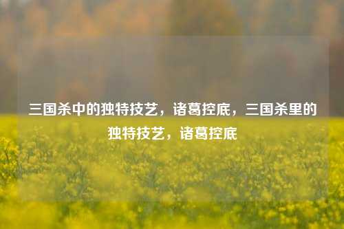 三国杀中的独特技艺，诸葛控底，三国杀里的独特技艺，诸葛控底
