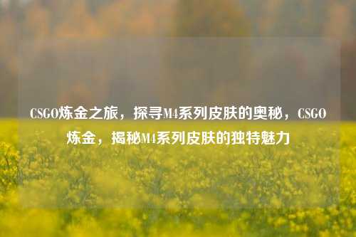 CSGO炼金之旅，探寻M4系列皮肤的奥秘，CSGO炼金，揭秘M4系列皮肤的独特魅力