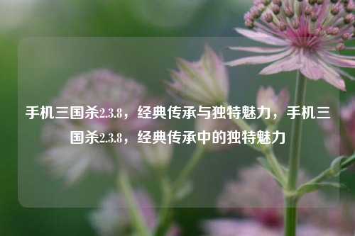 手机三国杀2.3.8，经典传承与独特魅力，手机三国杀2.3.8，经典传承中的独特魅力