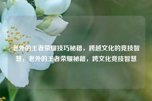 老外的王者荣耀技巧秘籍，跨越文化的竞技智慧，老外的王者荣耀秘籍，跨文化竞技智慧