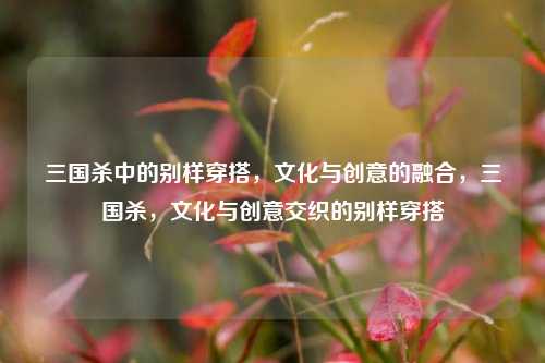 三国杀中的别样穿搭，文化与创意的融合，三国杀，文化与创意交织的别样穿搭