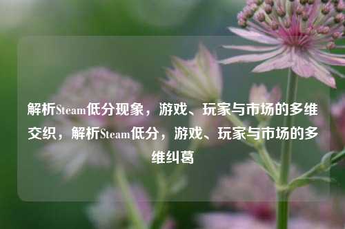 解析Steam低分现象，游戏、玩家与市场的多维交织，解析Steam低分，游戏、玩家与市场的多维纠葛