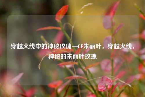 穿越火线中的神秘玫瑰—CF朱丽叶，穿越火线，神秘的朱丽叶玫瑰