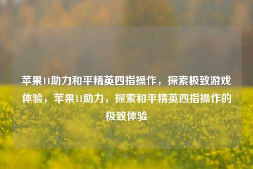 苹果11助力和平精英四指操作，探索极致游戏体验，苹果11助力，探索和平精英四指操作的极致体验