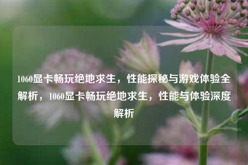 1060显卡畅玩绝地求生，性能探秘与游戏体验全解析，1060显卡畅玩绝地求生，性能与体验深度解析