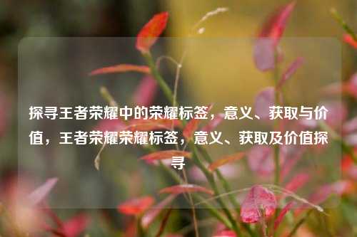探寻王者荣耀中的荣耀标签，意义、获取与价值，王者荣耀荣耀标签，意义、获取及价值探寻