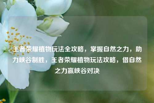 王者荣耀植物玩法全攻略，掌握自然之力，助力峡谷制胜，王者荣耀植物玩法攻略，借自然之力赢峡谷对决