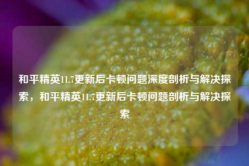 和平精英11.7更新后卡顿问题深度剖析与解决探索，和平精英11.7更新后卡顿问题剖析与解决探索