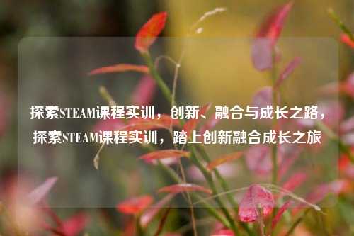 探索STEAM课程实训，创新、融合与成长之路，探索STEAM课程实训，踏上创新融合成长之旅