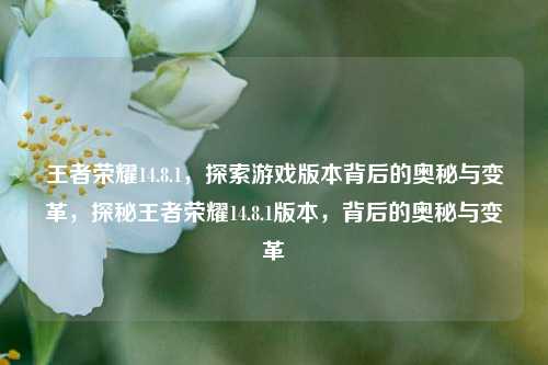 王者荣耀14.8.1，探索游戏版本背后的奥秘与变革，探秘王者荣耀14.8.1版本，背后的奥秘与变革