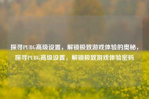 探寻PUBG高级设置，解锁极致游戏体验的奥秘，探寻PUBG高级设置，解锁极致游戏体验密码