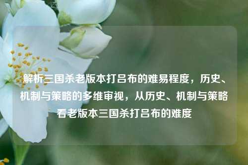 解析三国杀老版本打吕布的难易程度，历史、机制与策略的多维审视，从历史、机制与策略看老版本三国杀打吕布的难度