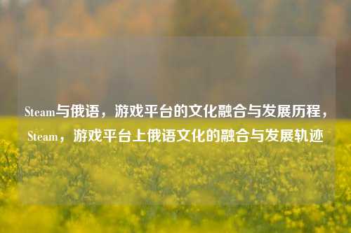 Steam与俄语，游戏平台的文化融合与发展历程，Steam，游戏平台上俄语文化的融合与发展轨迹